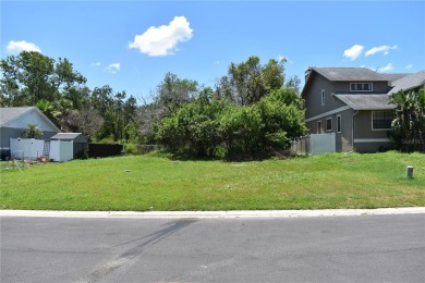 Design and Build Your Own Boater's Paradise.   This buildable on Innisbrook Resort and Golf Club in Florida - for sale on GolfHomes.com, golf home, golf lot