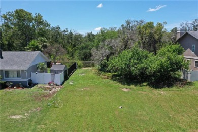 Design and Build Your Own Boater's Paradise.   This buildable on Innisbrook Resort and Golf Club in Florida - for sale on GolfHomes.com, golf home, golf lot