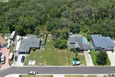 Design and Build Your Own Boater's Paradise.   This buildable on Innisbrook Resort and Golf Club in Florida - for sale on GolfHomes.com, golf home, golf lot
