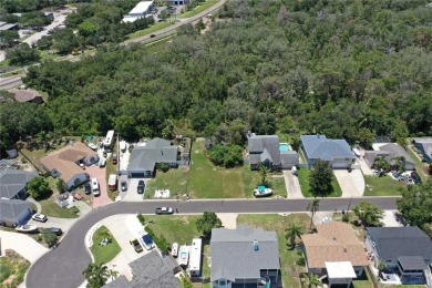 Design and Build Your Own Boater's Paradise.   This buildable on Innisbrook Resort and Golf Club in Florida - for sale on GolfHomes.com, golf home, golf lot