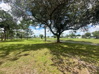 This beautiful Palm Harbour stucco home is located on the golf on Del Tura Golf and Country Club in Florida - for sale on GolfHomes.com, golf home, golf lot