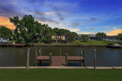 Welcome to paradise! Nestled in the heart of Palm Harbor, this on Palm Harbor Golf Club in Florida - for sale on GolfHomes.com, golf home, golf lot