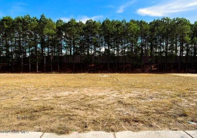 Don't miss your chance to build your dream home on this on Compass Pointe Golf Course in North Carolina - for sale on GolfHomes.com, golf home, golf lot