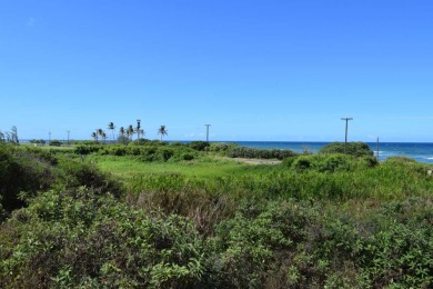 Investigate the possibilities for this unique 2.63 acre ocean on Waiehu Municipal Golf Course in Hawaii - for sale on GolfHomes.com, golf home, golf lot