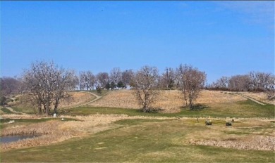 Creekside Pomme de Terre Golf Club. South of Morris and North of on Pomme De Terre Country Club in Minnesota - for sale on GolfHomes.com, golf home, golf lot