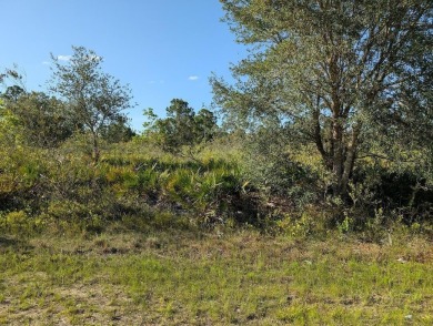Come build your forever home on this one-half acre lot that on Indian Lake Estates Golf and Country Club in Florida - for sale on GolfHomes.com, golf home, golf lot