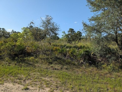 Come build your forever home on this one-half acre lot that on Indian Lake Estates Golf and Country Club in Florida - for sale on GolfHomes.com, golf home, golf lot