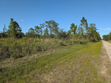 Come build your forever home on this one-half acre lot that on Indian Lake Estates Golf and Country Club in Florida - for sale on GolfHomes.com, golf home, golf lot