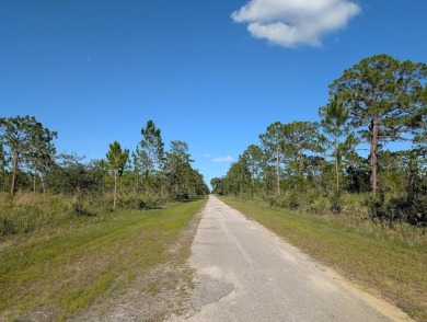 Come build your forever home on this one-half acre lot that on Indian Lake Estates Golf and Country Club in Florida - for sale on GolfHomes.com, golf home, golf lot