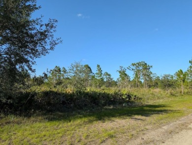 Come build your forever home on this one-half acre lot that on Indian Lake Estates Golf and Country Club in Florida - for sale on GolfHomes.com, golf home, golf lot