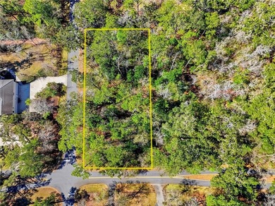 This impressive, one acre corner lot located in the desirable on The King and Prince Golf Course, Home of the Hampton Club in Georgia - for sale on GolfHomes.com, golf home, golf lot