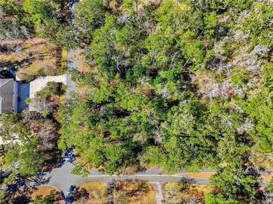 This impressive, one acre corner lot located in the desirable on The King and Prince Golf Course, Home of the Hampton Club in Georgia - for sale on GolfHomes.com, golf home, golf lot