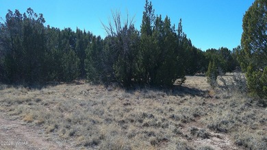 0.46ac lot that backs up to the old golf course. Has power and on Concho Valley Country Club in Arizona - for sale on GolfHomes.com, golf home, golf lot