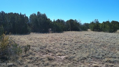 0.46ac lot that backs up to the old golf course. Has power and on Concho Valley Country Club in Arizona - for sale on GolfHomes.com, golf home, golf lot