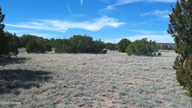 0.46ac lot that backs up to the old golf course. Has power and on Concho Valley Country Club in Arizona - for sale on GolfHomes.com, golf home, golf lot