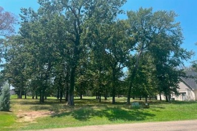 Build your paradise on this beautifully treed, replatted on Pinnacle Golf and Boat Club in Texas - for sale on GolfHomes.com, golf home, golf lot
