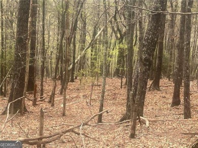 Two REALLY GREAT LOTS in BENT TREE !! VIEW !Ya don't have to on Bent Tree Golf Course in Georgia - for sale on GolfHomes.com, golf home, golf lot