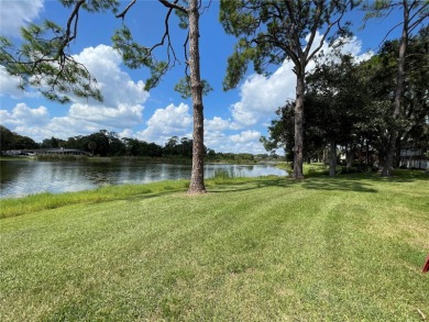 Lake Sparkle OASIS Water front living!!! Just a few miles from on Country Club At Silver Springs Shores in Florida - for sale on GolfHomes.com, golf home, golf lot