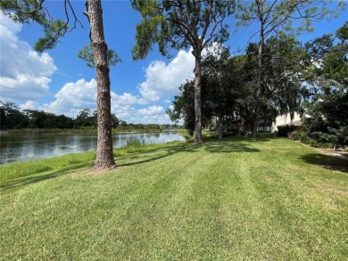 Lake Sparkle OASIS Water front living!!! Just a few miles from on Country Club At Silver Springs Shores in Florida - for sale on GolfHomes.com, golf home, golf lot