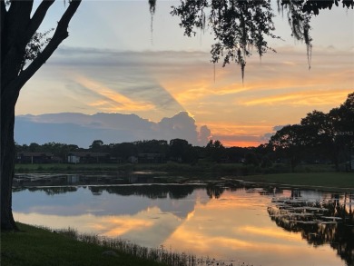 Lake Sparkle OASIS Water front living!!! Just a few miles from on Country Club At Silver Springs Shores in Florida - for sale on GolfHomes.com, golf home, golf lot