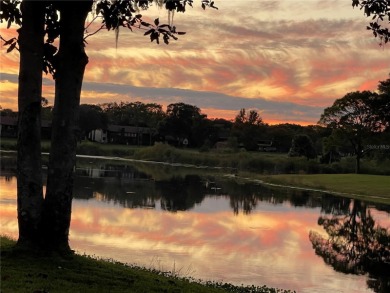 Lake Sparkle OASIS Water front living!!! Just a few miles from on Country Club At Silver Springs Shores in Florida - for sale on GolfHomes.com, golf home, golf lot