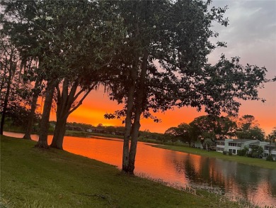 Lake Sparkle OASIS Water front living!!! Just a few miles from on Country Club At Silver Springs Shores in Florida - for sale on GolfHomes.com, golf home, golf lot