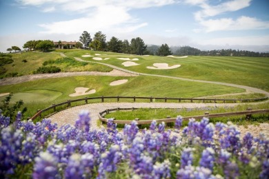 The Prados distinct positioning is made to delight and surprise on  in California - for sale on GolfHomes.com, golf home, golf lot