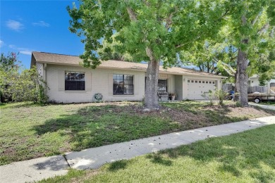 Under contract-accepting backup offers. Ready for Your Personal on Northdale Golf and Tennis Club in Florida - for sale on GolfHomes.com, golf home, golf lot