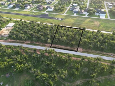 Lot 4011 Experience luxury living at The Landings Airpark near on Pecan Plantation Country Club in Texas - for sale on GolfHomes.com, golf home, golf lot