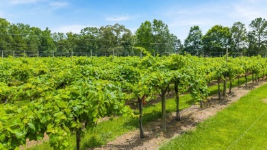 Welcome to the Hayden-a two-story, single-family new on Mirror Lake Golf Club in Georgia - for sale on GolfHomes.com, golf home, golf lot