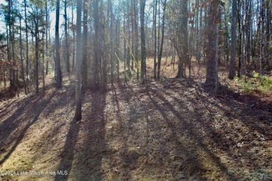 This is definitely a hill top home site  and a large lot. Very on Stillwaters Golf and Country Club in Alabama - for sale on GolfHomes.com, golf home, golf lot