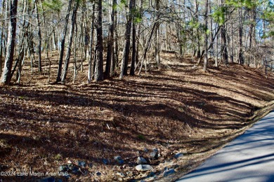 This is definitely a hill top home site  and a large lot. Very on Stillwaters Golf and Country Club in Alabama - for sale on GolfHomes.com, golf home, golf lot