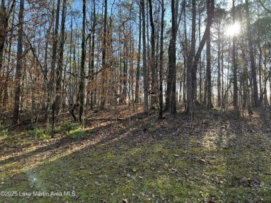 Purchasing lots for development or a personal custom build on Stillwaters Golf and Country Club in Alabama - for sale on GolfHomes.com, golf home, golf lot