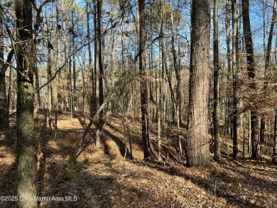 Purchasing lots for development or a personal custom build on Stillwaters Golf and Country Club in Alabama - for sale on GolfHomes.com, golf home, golf lot