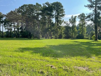 This beautiful 4.08 acre lot is perfectly situated in Hawthorne on  in Georgia - for sale on GolfHomes.com, golf home, golf lot