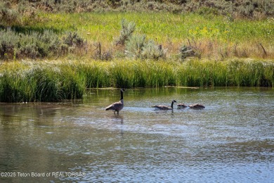 Enjoy the Tetons and Sleeping Indian as you drive onto the on Jackson Hole Golf and Tennis Club in Wyoming - for sale on GolfHomes.com, golf home, golf lot