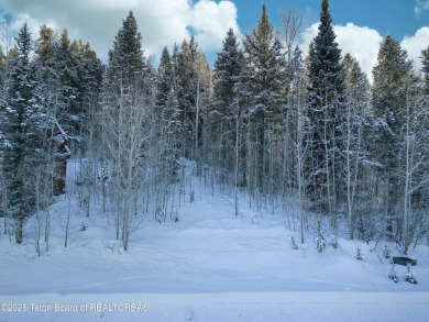 Discover this rare elevated cabin lot in one of the few areas of on Teton Springs Resort and Club in Idaho - for sale on GolfHomes.com, golf home, golf lot