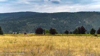 Teton Valley's premier golf community townhouse development, the on Teton Reserve in Idaho - for sale on GolfHomes.com, golf home, golf lot