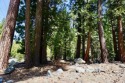 BEAUTIFUL SUNNY 1/2 ACRE CORNER LOT IN THE HEART OF GRAEAGLE! for sale in Graeagle California Plumas County County on GolfHomes.com