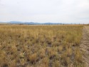 This lot is on the eastern boundary of the subdivision with for sale in Helena Montana Lewis and Clark County County on GolfHomes.com
