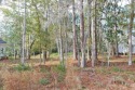 Build your dream home on this stunning homesite located in the for sale in Pawleys Island South Carolina Georgetown County County on GolfHomes.com