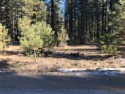 SHASTA TRAIL LOT -- A beautiful Graeagle parcel - level and for sale in Graeagle California Plumas County County on GolfHomes.com