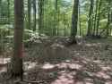  Ad# 6328893 golf course property for sale on GolfHomes.com