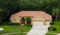 Welcome to your dream home located on a cul-de-sac with only 4 for sale in Oldsmar Florida Pinellas County County on GolfHomes.com