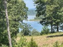 Two Lakefront Lots with 289 Ft of water frontage in Island for sale in Drasco Arkansas Cleburne County County on GolfHomes.com