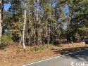 Corner lot with 146' front on Crooked Oak in Litchfield Country for sale in Pawleys Island South Carolina Georgetown County County on GolfHomes.com