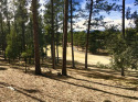 BUILD YOUR DREAM HOME Potential views of the #14 Fairway and for sale in Alto New Mexico Lincoln County County on GolfHomes.com