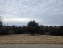 Great buildable lot with gentle slope to the rear of the for sale in Apple River Illinois Jo Daviess County County on GolfHomes.com