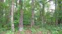 Two wooded building Lots 938 and 940...$14,900 EACH.  Near for sale in Counce Tennessee  County on GolfHomes.com