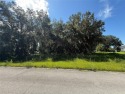 ?????? Build Your Dream Home in Black Bear Reserve - Eustis, FL

 for sale in Eustis Florida Lake County County on GolfHomes.com